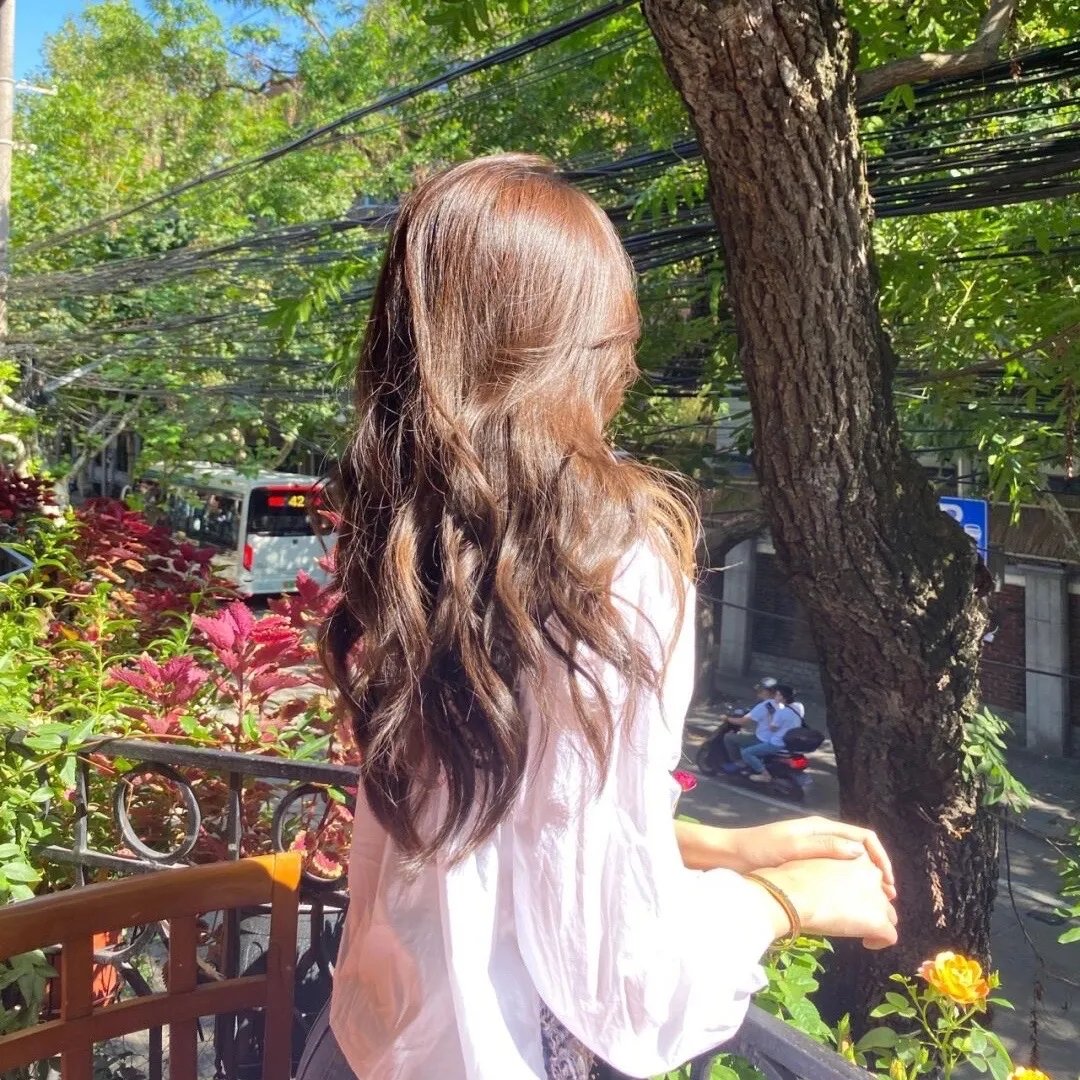 爱丽丝海上漫游